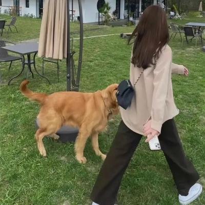 孤堡风云