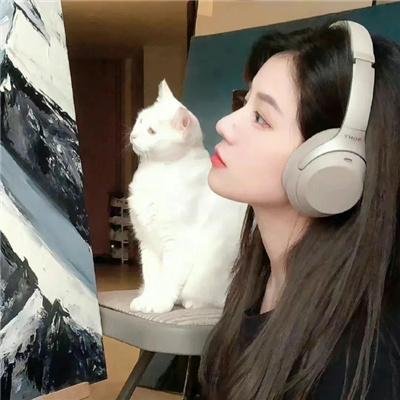 我要做明星