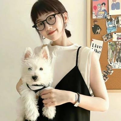 敌对同谋